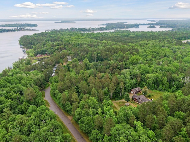 34800 Blueberry Bay Rd, Pequot Lakes, MN 56472 - photo 54