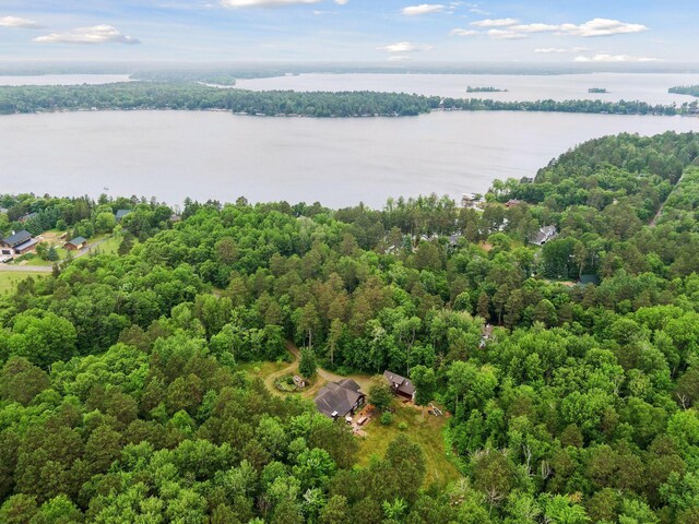 34800 Blueberry Bay Rd, Pequot Lakes, MN 56472 - photo 55