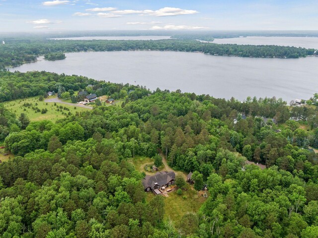 34800 Blueberry Bay Rd, Pequot Lakes, MN 56472 - photo 56
