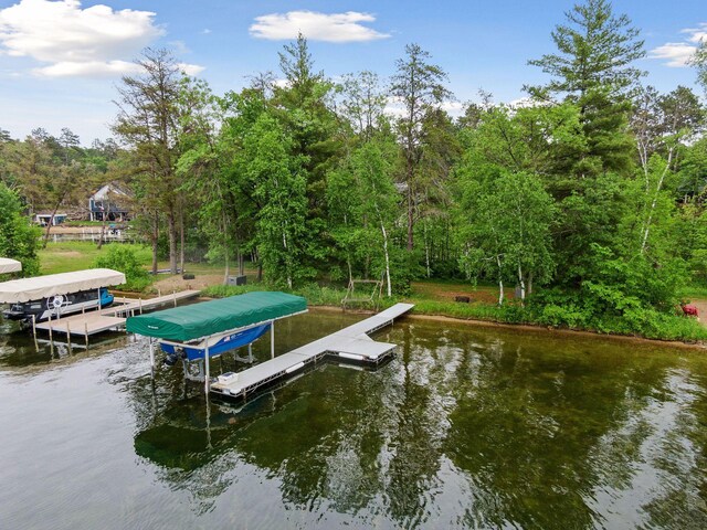 34800 Blueberry Bay Rd, Pequot Lakes, MN 56472 - photo 58
