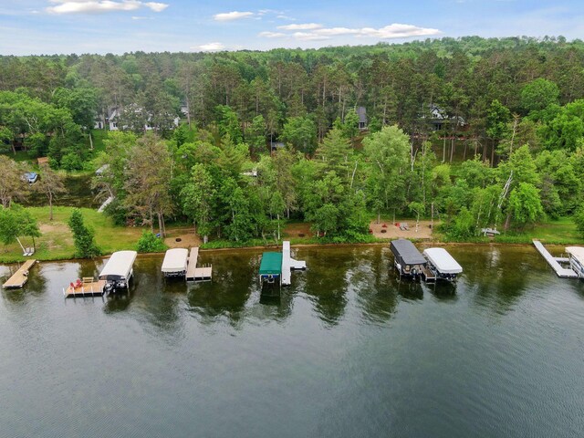 34800 Blueberry Bay Rd, Pequot Lakes, MN 56472 - photo 59