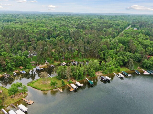 34800 Blueberry Bay Rd, Pequot Lakes, MN 56472 - photo 60