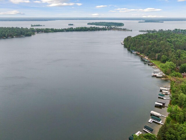 34800 Blueberry Bay Rd, Pequot Lakes, MN 56472 - photo 61