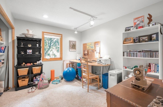 2434 Southcrest Ave E, Maplewood, MN 55119 - carpeted office space featuring track lighting