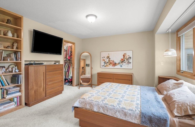 2434 Southcrest Ave E, Maplewood, MN 55119 - carpeted bedroom with a walk in closet and a closet