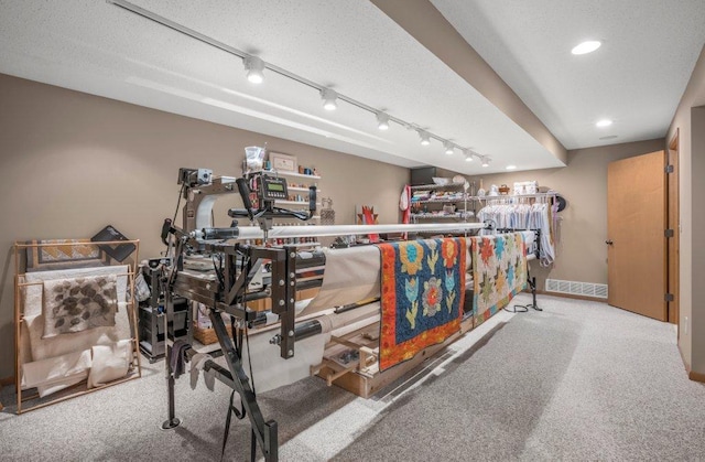 2434 Southcrest Ave E, Maplewood, MN 55119 - workout area with carpet, track lighting, recessed lighting, a textured ceiling, and baseboards