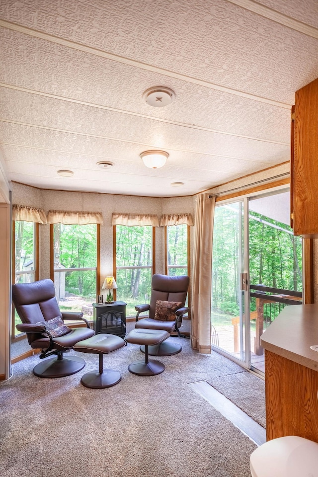 46382 High Dr, Kathio Twp, MN 56450 - photo 14