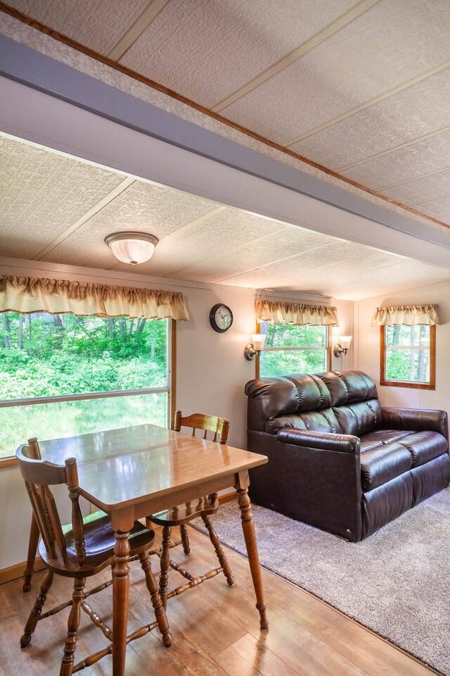 46382 High Dr, Kathio Twp, MN 56450 - photo 15