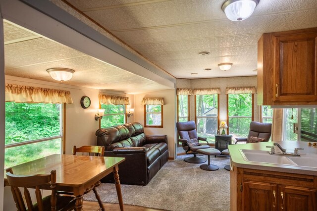 46382 High Dr, Kathio Twp, MN 56450 - photo 16