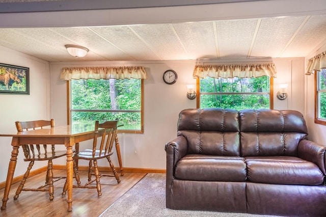 46382 High Dr, Kathio Twp, MN 56450 - photo 19