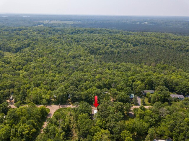 46382 High Dr, Kathio Twp, MN 56450 - photo 28