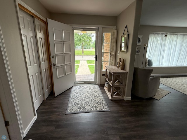 409 1st Ave E, Ada, MN 56510 - foyer featuring dark wood-type flooring