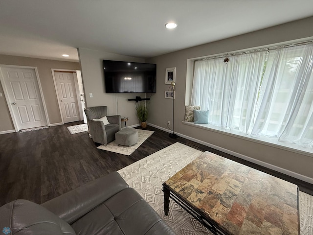 409 1st Ave E, Ada, MN 56510 - living area with recessed lighting and dark wood finished floors