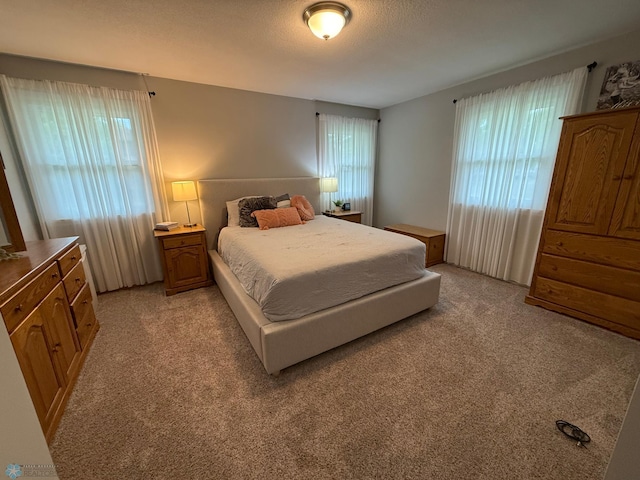 409 1st Ave E, Ada, MN 56510 - bedroom featuring light colored carpet and multiple windows