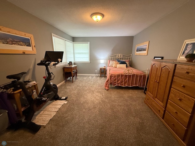 409 1st Ave E, Ada, MN 56510 - bedroom featuring carpet flooring and a textured ceiling
