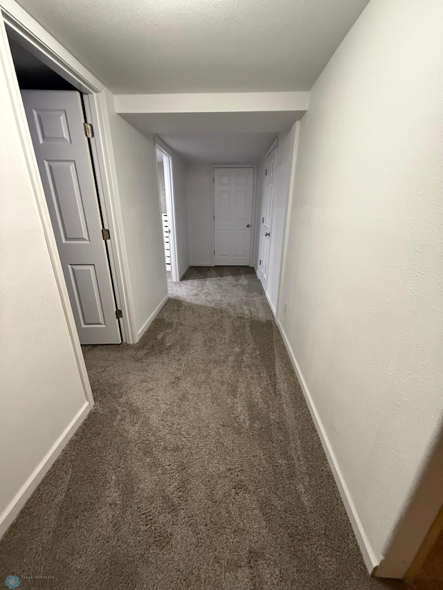 409 1st Ave E, Ada, MN 56510 - corridor featuring carpet floors and baseboards