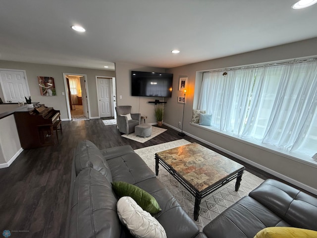 409 1st Ave E, Ada, MN 56510 - living area featuring wood finished floors and recessed lighting