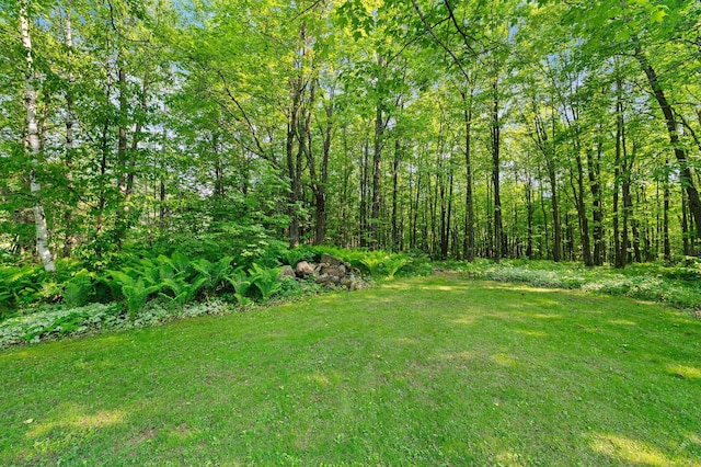 5578 Cloquet Rd, Midway Twp, MN 55810 - view of green lawn featuring a view of trees