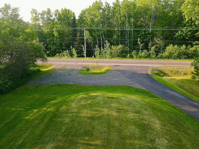 5578 Cloquet Rd, Midway Twp, MN 55810 - view of home's community featuring a yard
