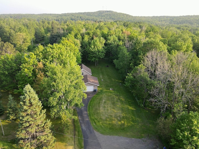 5578 Cloquet Rd, Midway Twp, MN 55810 - view from above of property with a forest