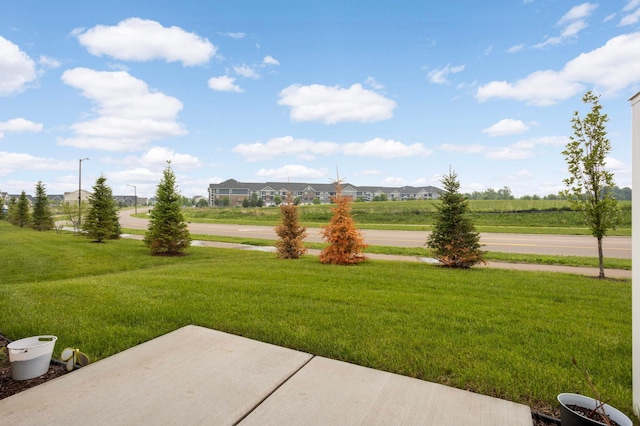 17983 Giants Way, Lakeville, MN 55044 - view of grassy yard