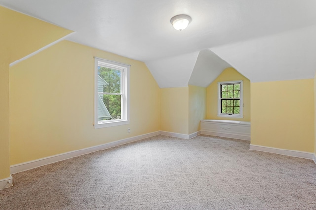 332 Riverside Dr NE, Saint Cloud, MN 56304 - additional living space featuring carpet floors and lofted ceiling