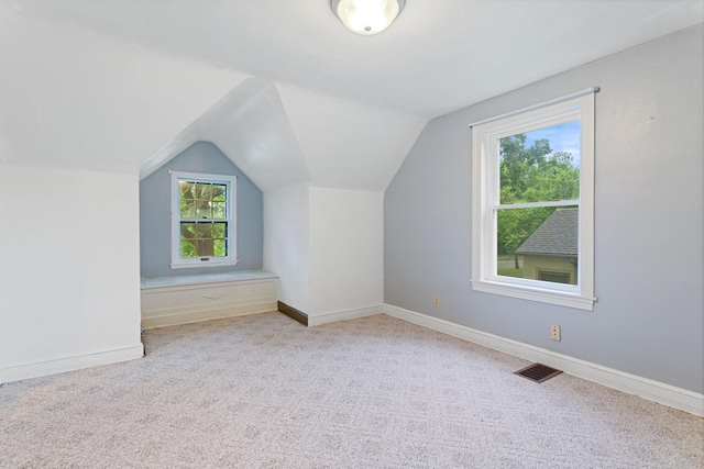 332 Riverside Dr NE, Saint Cloud, MN 56304 - bonus room featuring carpet floors, vaulted ceiling, and healthy amount of natural light