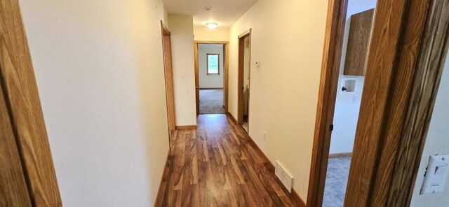 805 Louis Ave, Jackson, MN 56143 - photo 10