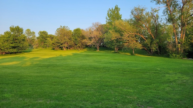 112 240th St N, Eglon Twp, MN 56549 - view of grassy yard