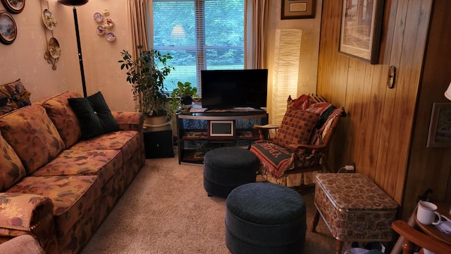 112 240th St N, Eglon Twp, MN 56549 - view of carpeted living area