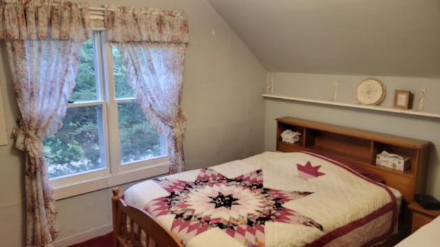 112 240th St N, Eglon Twp, MN 56549 - bedroom featuring multiple windows and vaulted ceiling