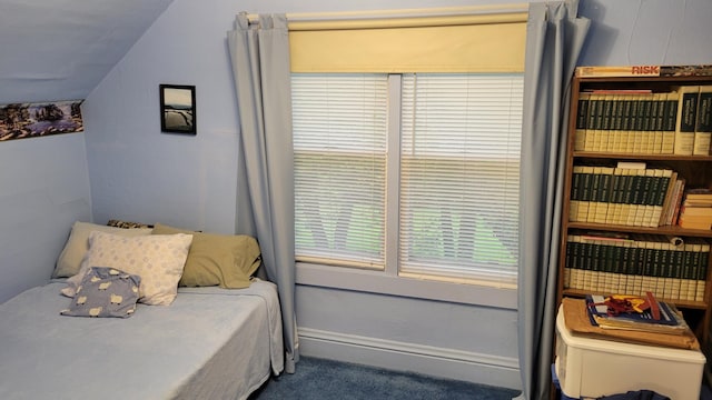 112 240th St N, Eglon Twp, MN 56549 - bedroom featuring carpet flooring and lofted ceiling