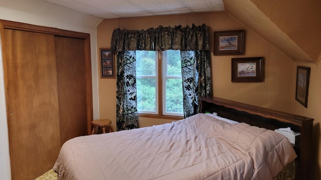 112 240th St N, Eglon Twp, MN 56549 - bedroom featuring lofted ceiling