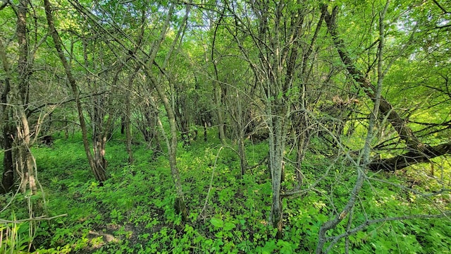 112 240th St N, Eglon Twp, MN 56549 - view of undeveloped land
