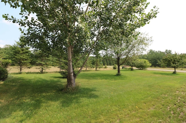 2607 Forest View Dr NE, Bemidji, MN 56601 - view of grassy yard