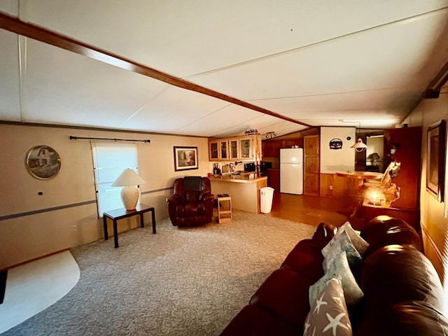 2683 22nd St NW Lot 8, Baudette, MN 56623 - living room featuring carpet and lofted ceiling