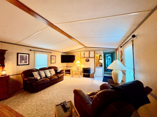 2683 22nd St NW Lot 8, Baudette, MN 56623 - carpeted living area featuring healthy amount of natural light