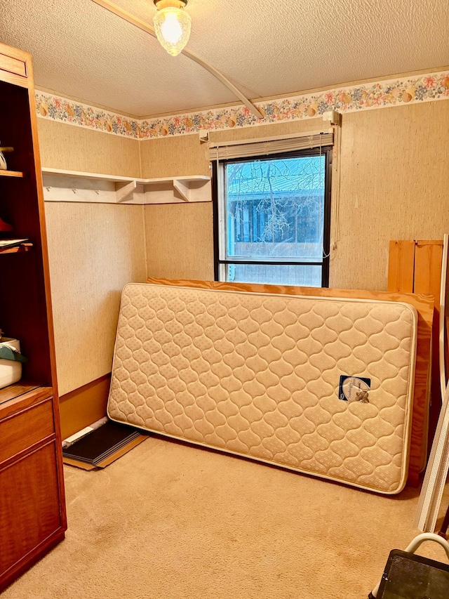 2683 22nd St NW Lot 8, Baudette, MN 56623 - carpeted bedroom with a textured ceiling