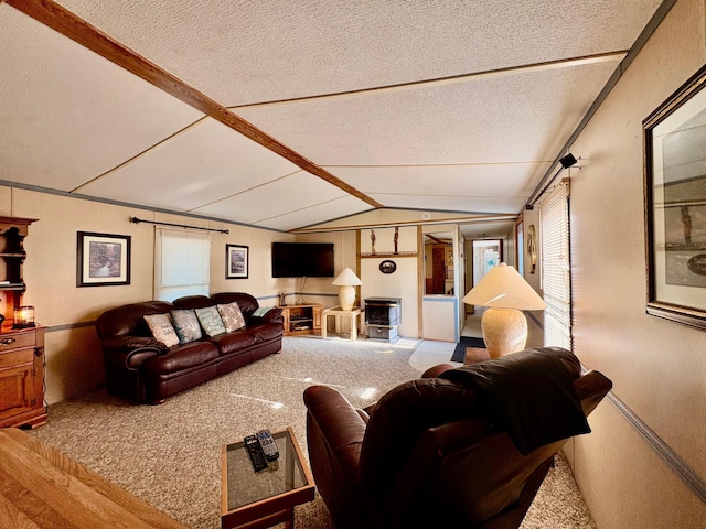 2683 22nd St NW Lot 8, Baudette, MN 56623 - carpeted living area featuring a textured ceiling and healthy amount of natural light