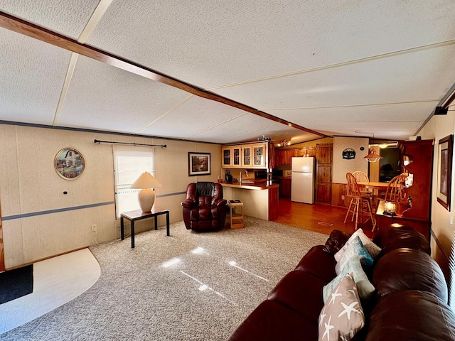 2683 22nd St NW Lot 8, Baudette, MN 56623 - carpeted living room with vaulted ceiling and a textured ceiling