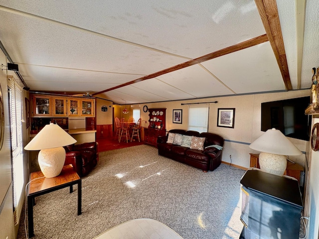 2683 22nd St NW Lot 8, Baudette, MN 56623 - living area with carpet flooring, vaulted ceiling, and a textured ceiling