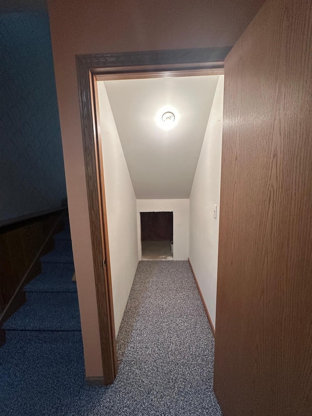 3211 30th Ave S, Fargo, ND 58103 - hall featuring carpet floors and stairway