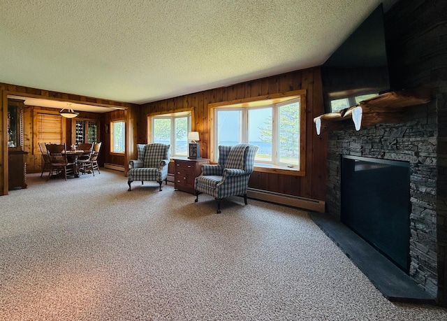 15127 Twilight Rd, Kathio Twp, MN 56359 - sitting room featuring a baseboard radiator, a textured ceiling, carpet, wood walls, and a stone fireplace