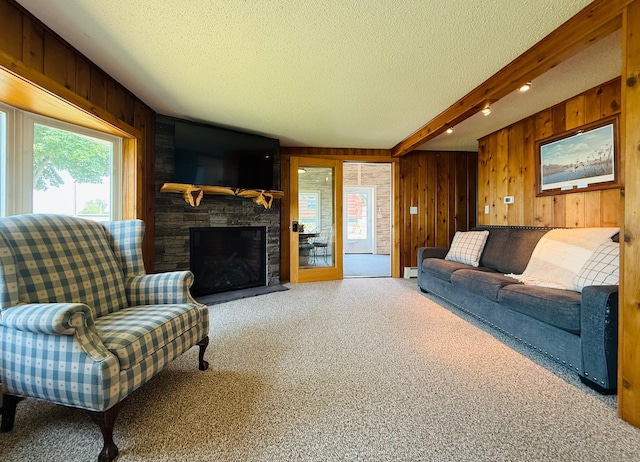 15127 Twilight Rd, Kathio Twp, MN 56359 - carpeted living area with beamed ceiling, wooden walls, a baseboard radiator, a textured ceiling, and a stone fireplace