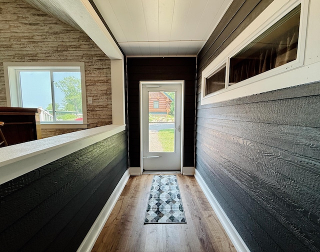 15127 Twilight Rd, Kathio Twp, MN 56359 - doorway with wooden walls, healthy amount of natural light, hardwood / wood-style floors, and baseboards