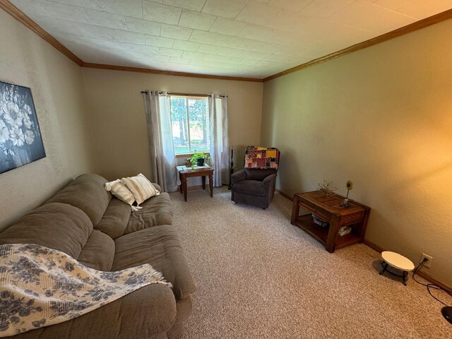 32440 Corlan Rd NE, Langor Twp, MN 56630 - photo 16