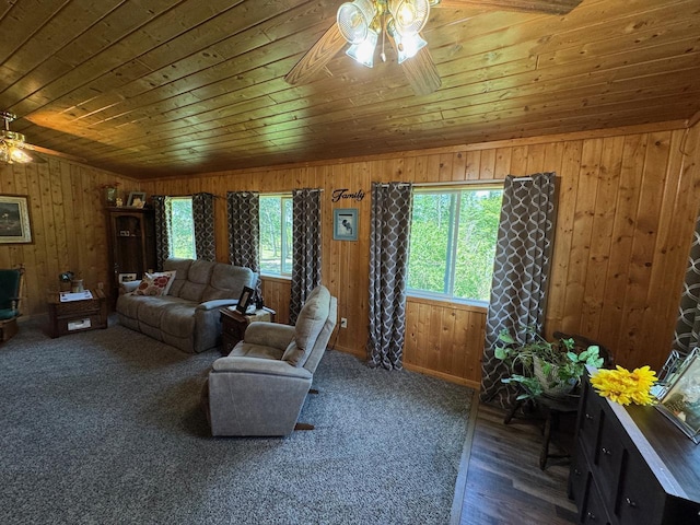32440 Corlan Rd NE, Langor Twp, MN 56630 - photo 21