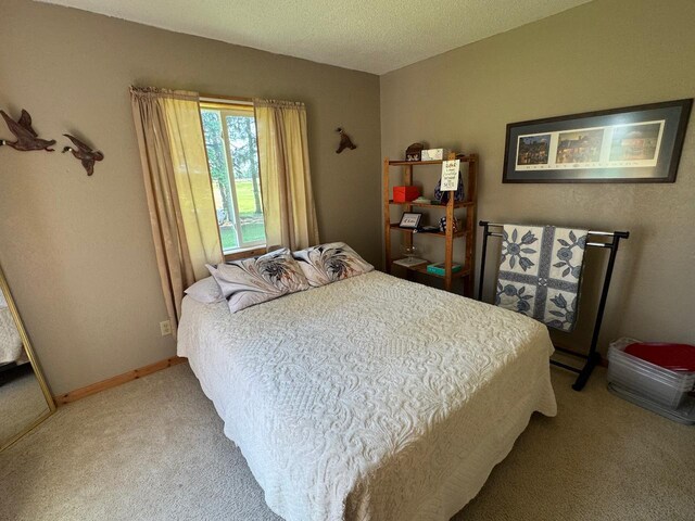 32440 Corlan Rd NE, Langor Twp, MN 56630 - photo 28