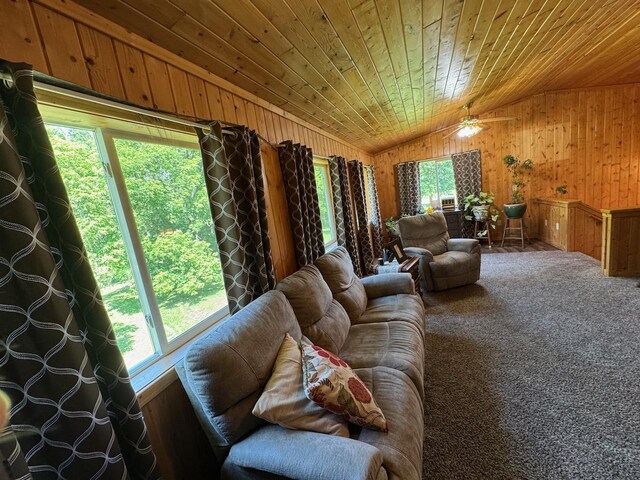 32440 Corlan Rd NE, Langor Twp, MN 56630 - photo 32