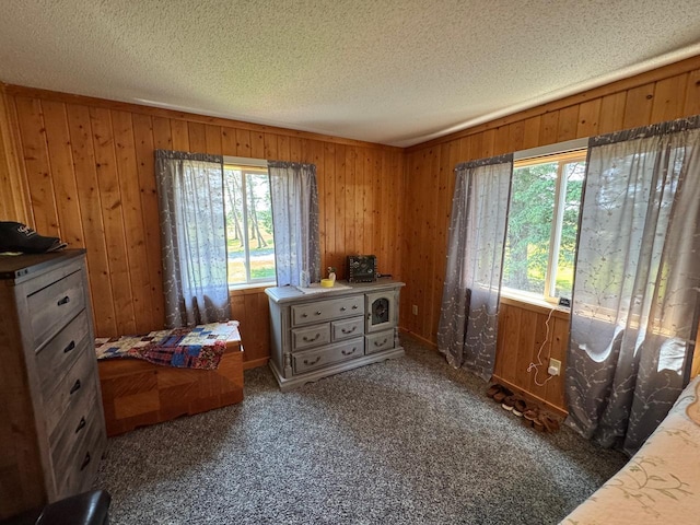 32440 Corlan Rd NE, Langor Twp, MN 56630 - photo 43